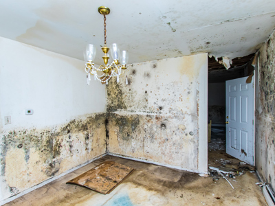 Water damage claims experts, public adjusters can help