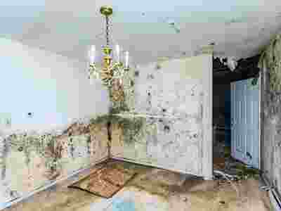 Water damage claims experts, public adjusters can help