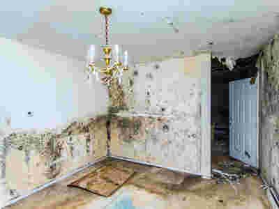 Water damage claims experts, public adjusters can help