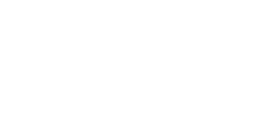 NFA Public Adjusters Logo